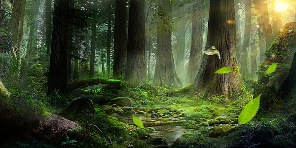 森林背景設計模板素材 森林背景png矢量背景圖片免費下載 Lovepik