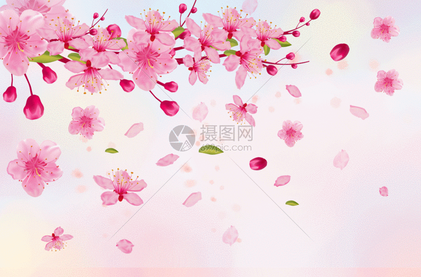 Zoom Background Cherry Blossom Cartoon GIF, gif funny backgrounds
