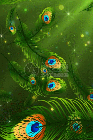 Peacock Feather Background Images, 500+ Free Banner Background Photos  Download - Lovepik