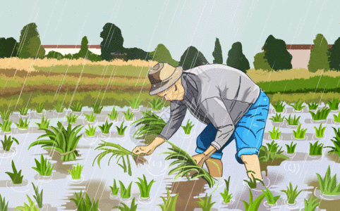 How Global Rice Farming Is Being Transformed By Climate Change