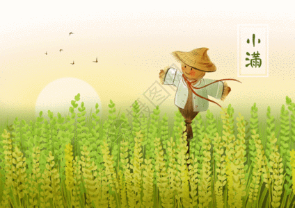 Stock Paddy Field illustration royalty-free pictures - Lovepik